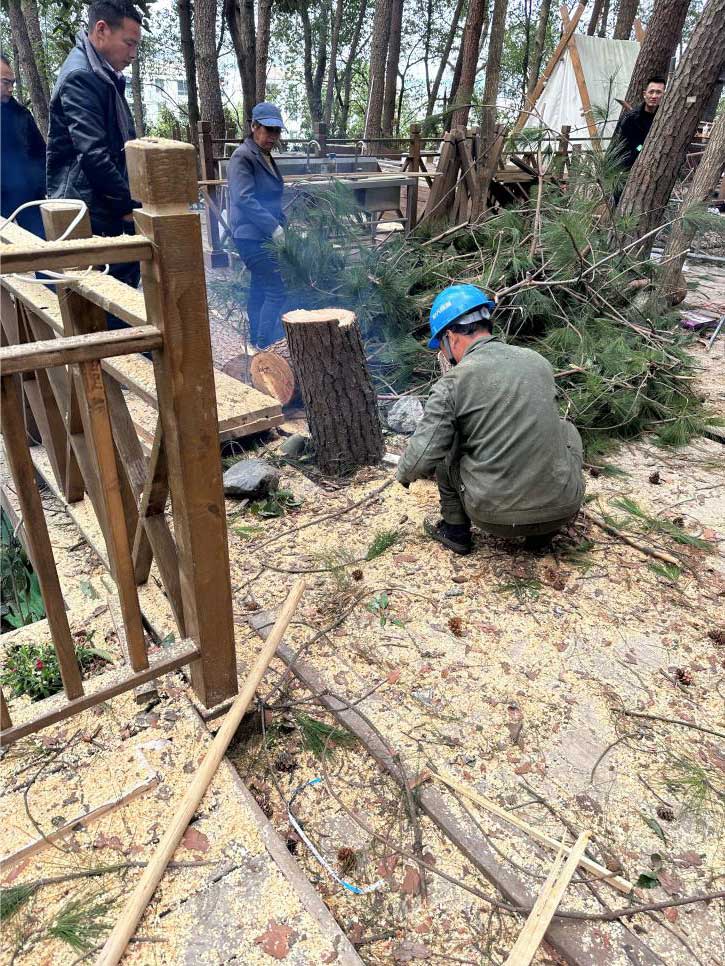 排除隱患，國資公司砍樹解民憂