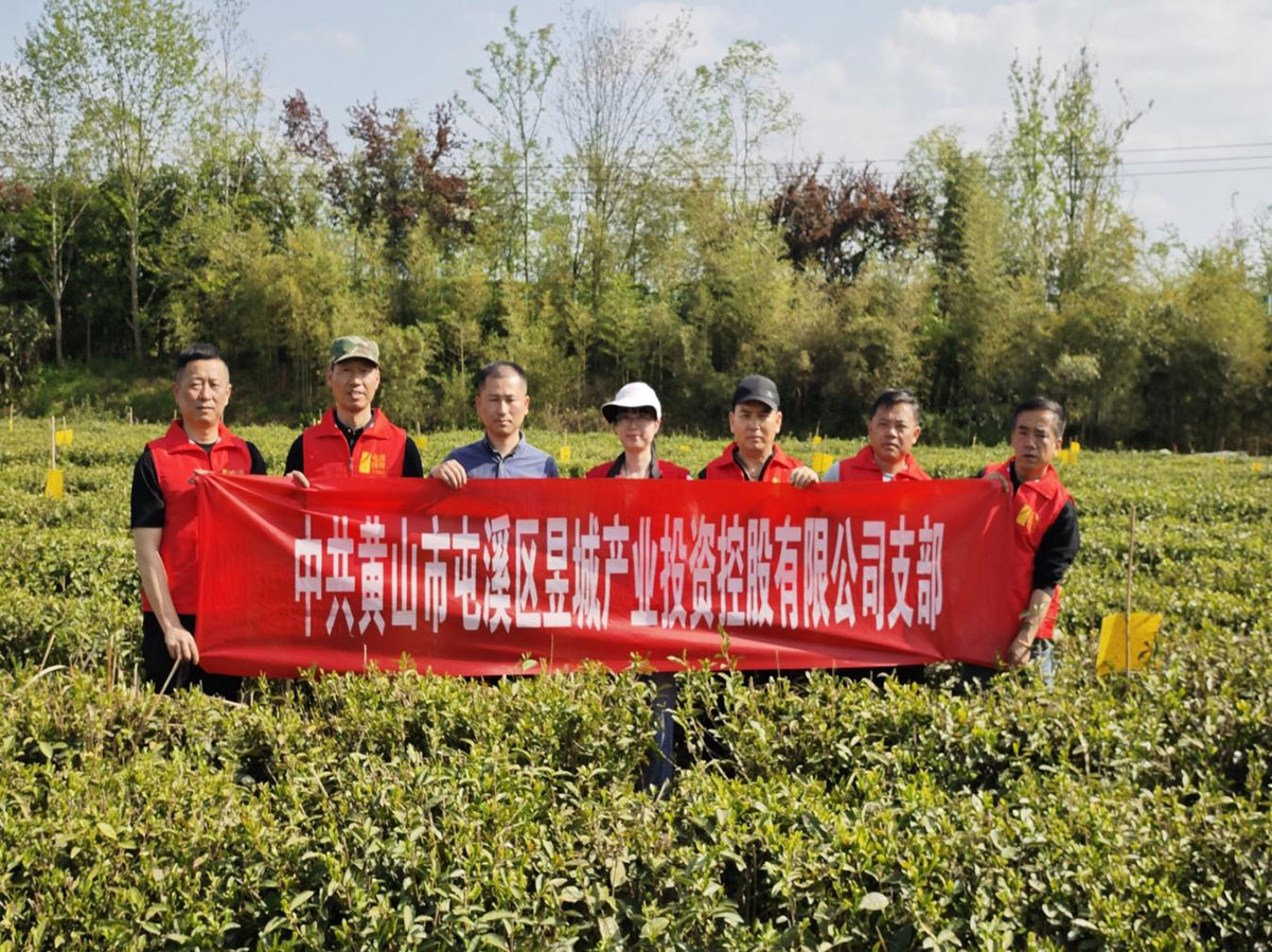 昱城產(chǎn)投公司黨支部開展“茶香潤初心，黨旗映茶園”主題黨日活動