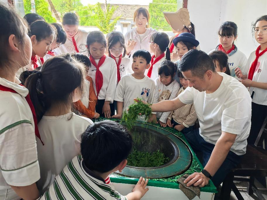 區(qū)關(guān)工委組織學生到實驗茶場開展茶文化主題實踐活動