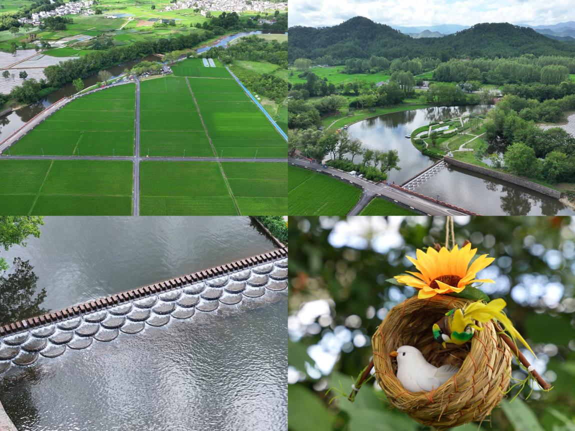 國企賦能鄉(xiāng)村振興 光影點亮文旅新篇