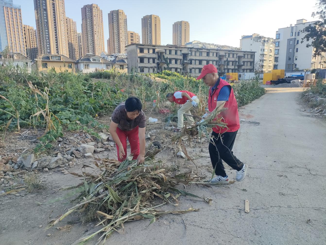 黨員進(jìn)社區(qū)：守護(hù)綠色家園，彰顯國企擔(dān)當(dāng)